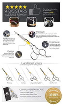Load image into Gallery viewer, Professional Razor Edge Hair Cutting Scissors (6.5&quot;)