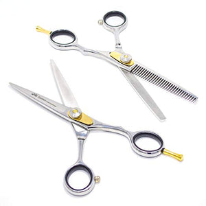 Professional Razor Edge Hair Cutting Scissors/Shears – Equinox International